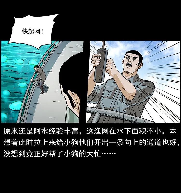 240 意外频发的诱捕29