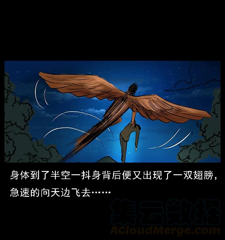 088 勾魂鸟夜枭80