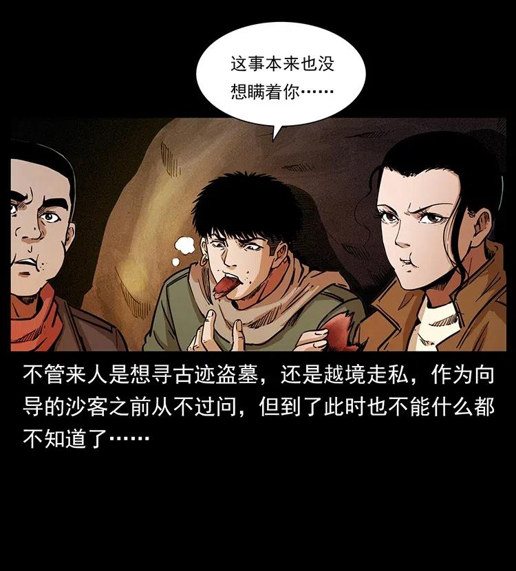318 沙漠秃鹰47