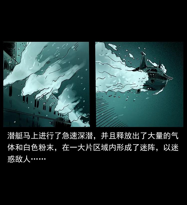 229 东海龙骨65
