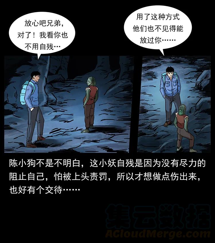 274 神族的计划20