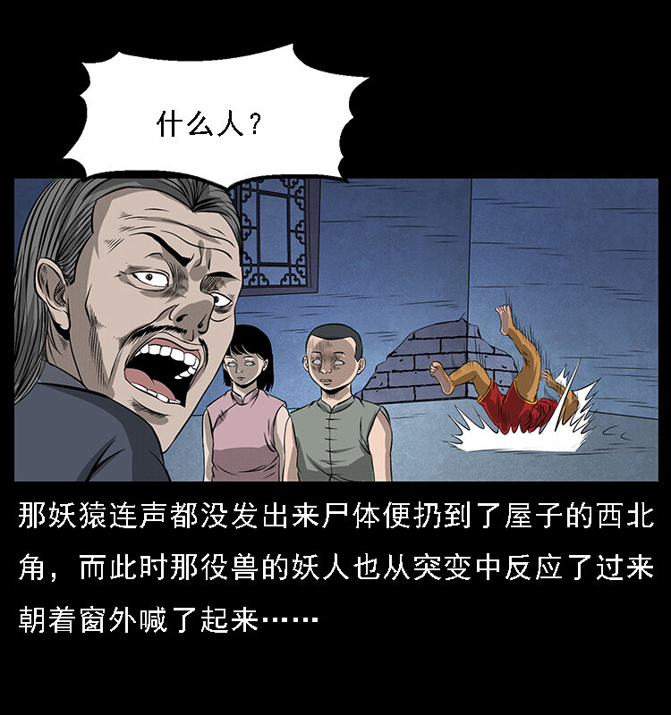 064 役兽妖人12