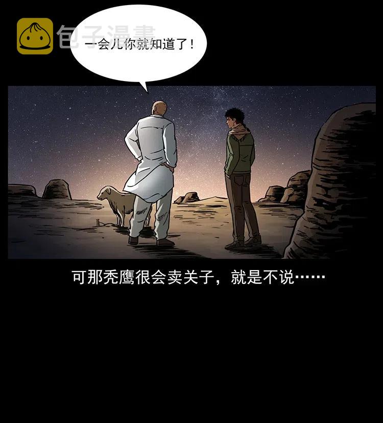 318 沙漠秃鹰21