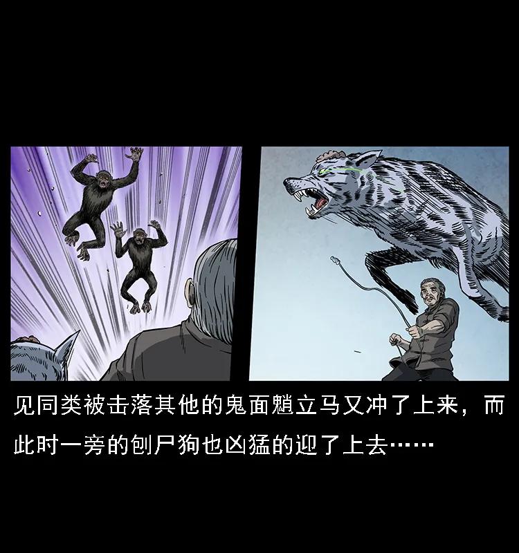 083 鬼面魈11