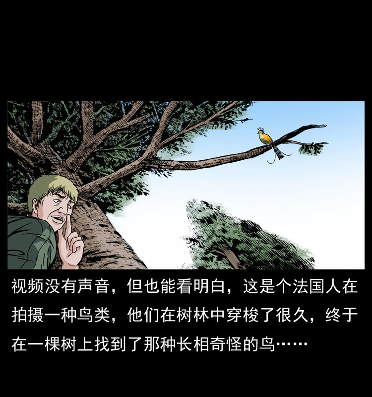 047 接龙骨32