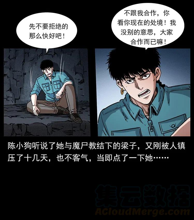 370 乌翅凤凰66
