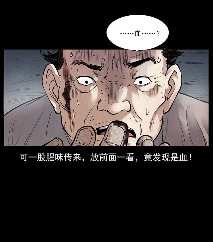 外传 洛生传2 土匪，土匪33