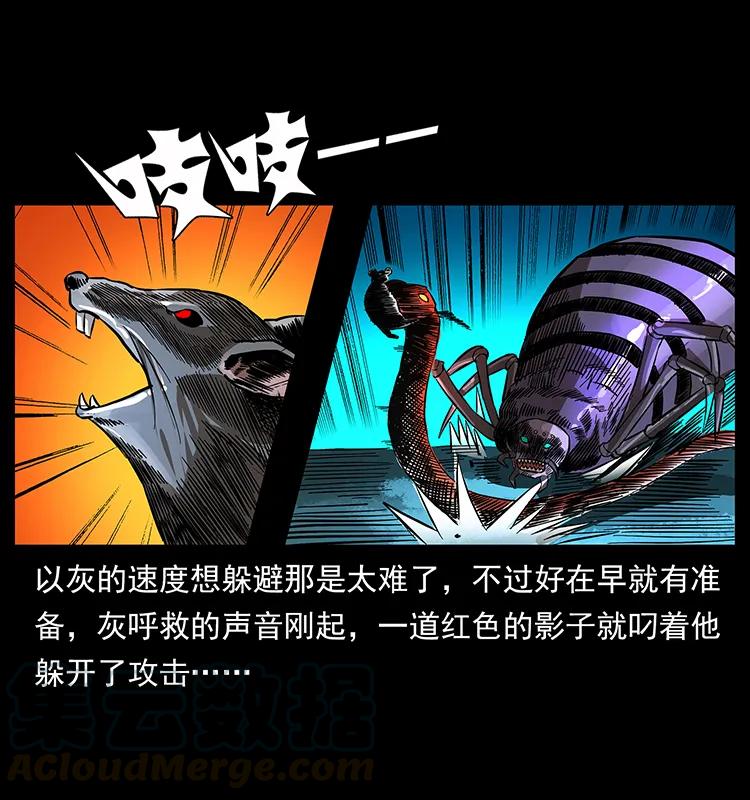 163 陈老狗下南疆12