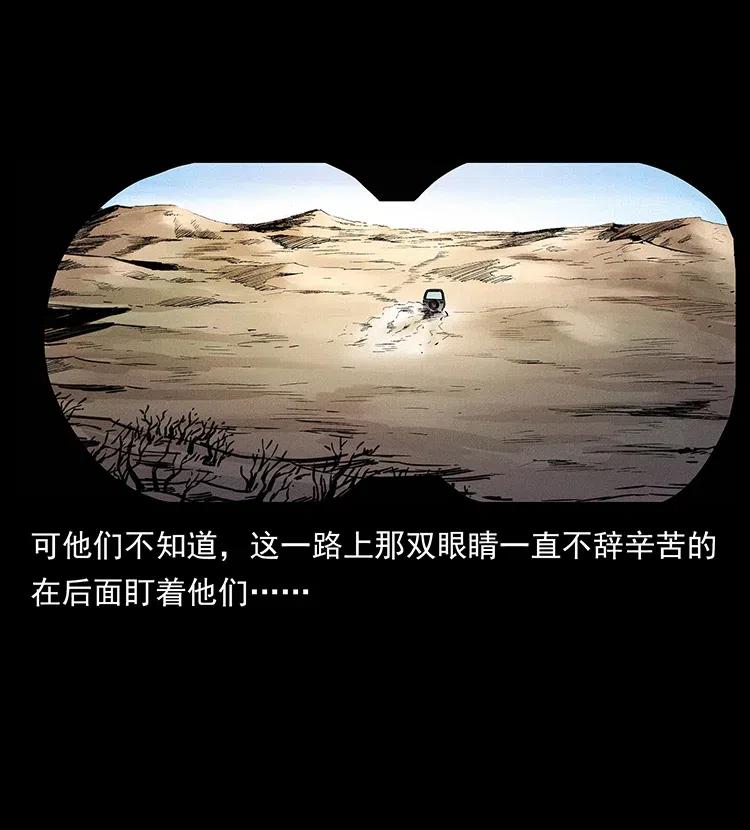316 大漠归客9