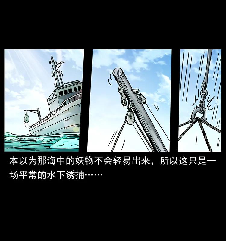 240 意外频发的诱捕31