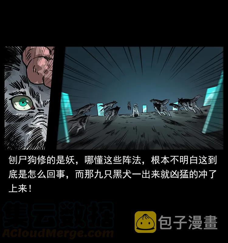 251 刨尸狗遇险84