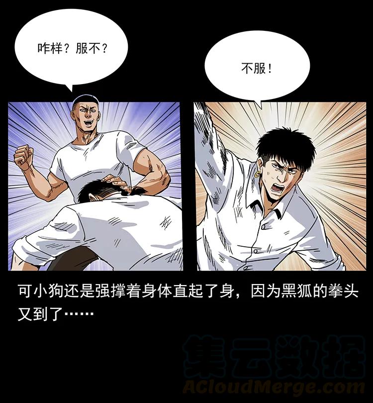 206 不断成长的陈小狗32