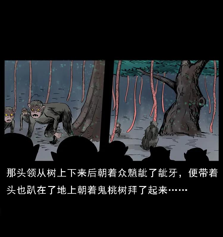 082 鬼桃树35