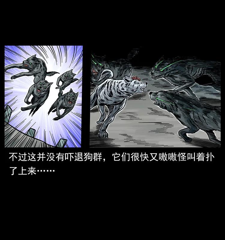 252 危机！危机18