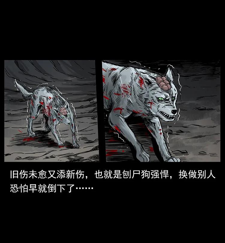197 神之眼66