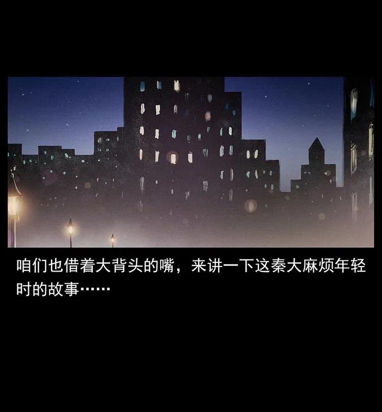 343 秦大麻烦的往事24