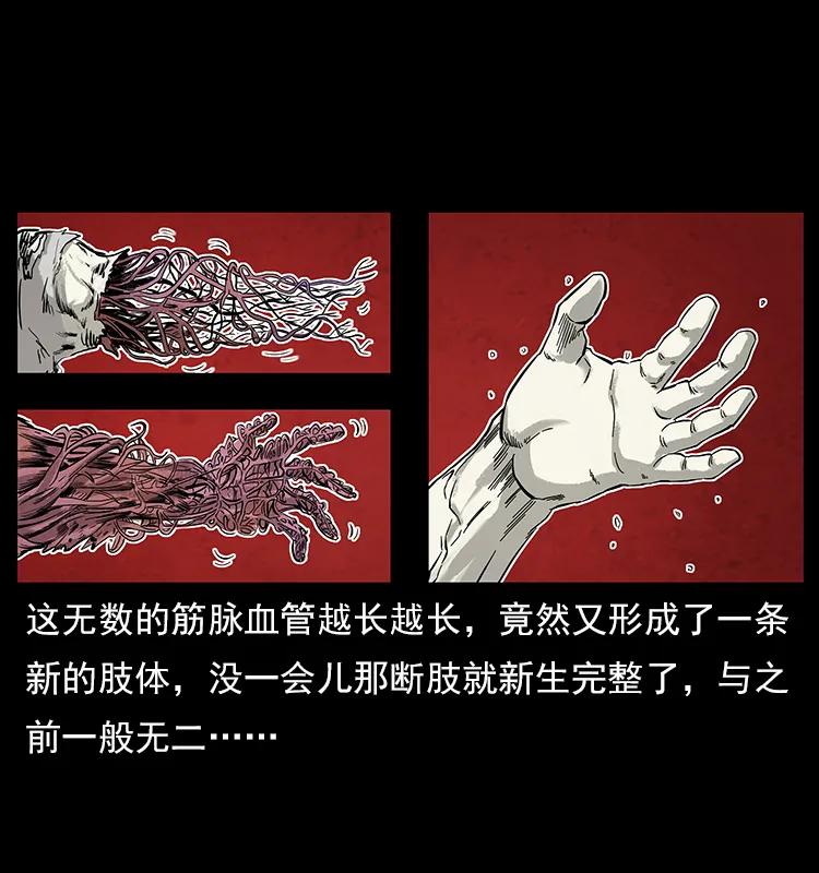 108 九莲困神阵30