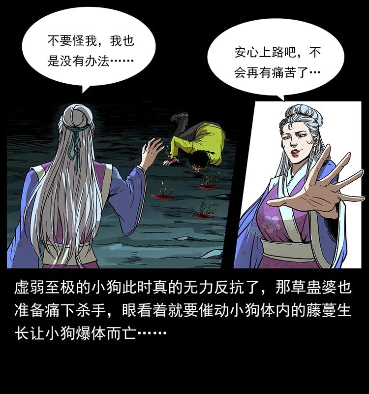193 草蛊婆3