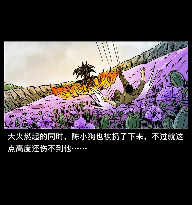 236 神秘的小岛71