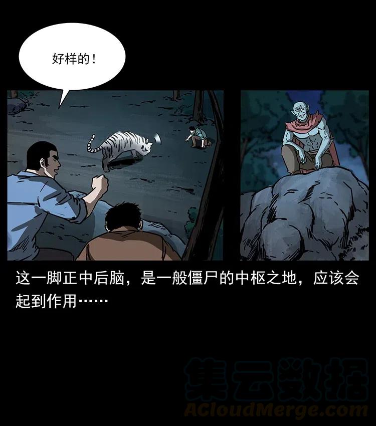 342 白毛僵尸28