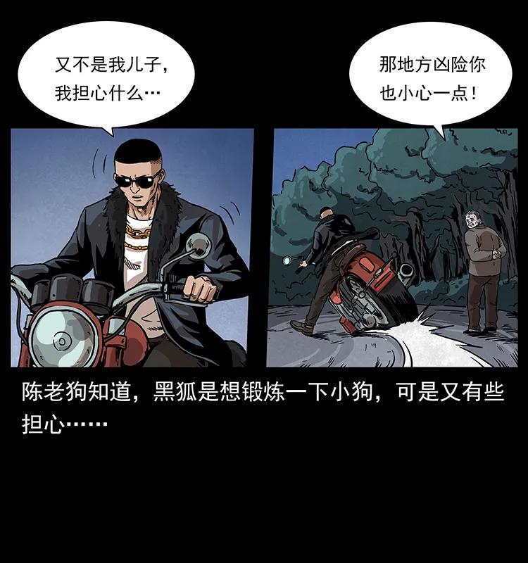 211 三代人的一座墓81