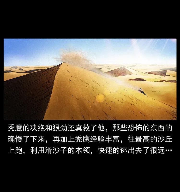 317 大漠凶兽25