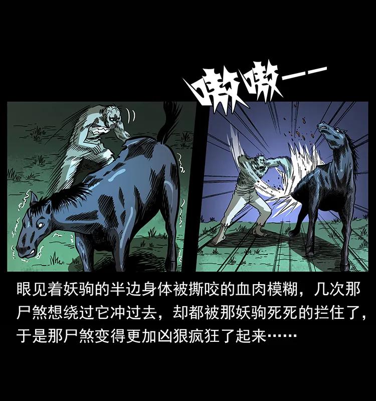158 妖驹的选择77