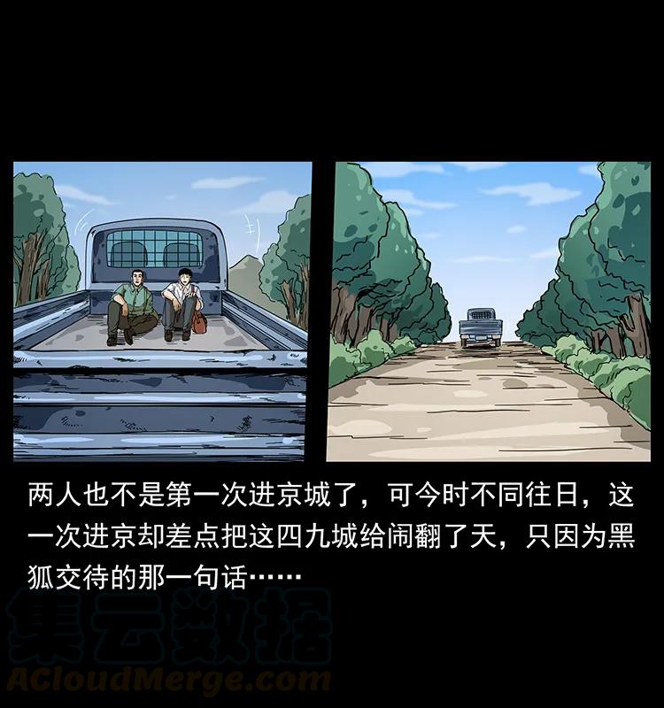 206 不断成长的陈小狗68
