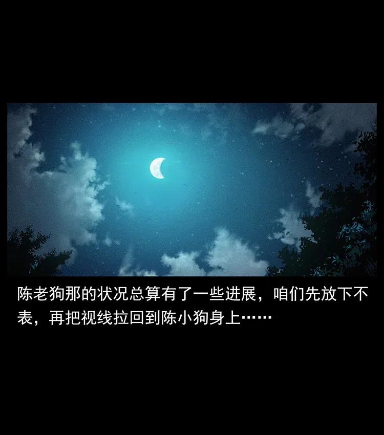 370 乌翅凤凰1
