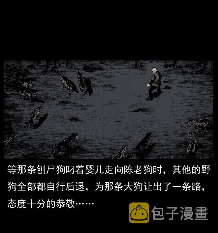 005 刨尸狗49