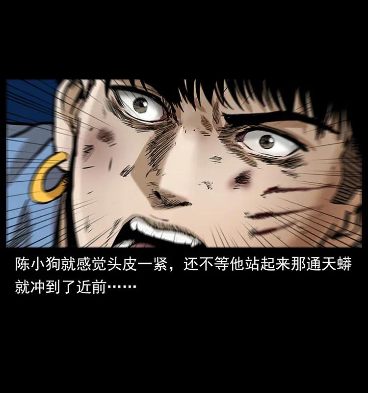 288 强者归队！46