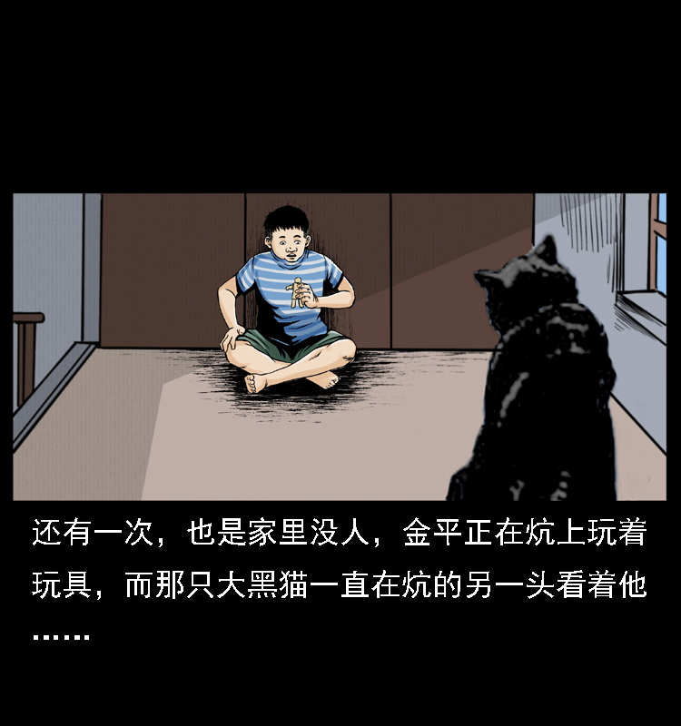 003 赵家的猫40