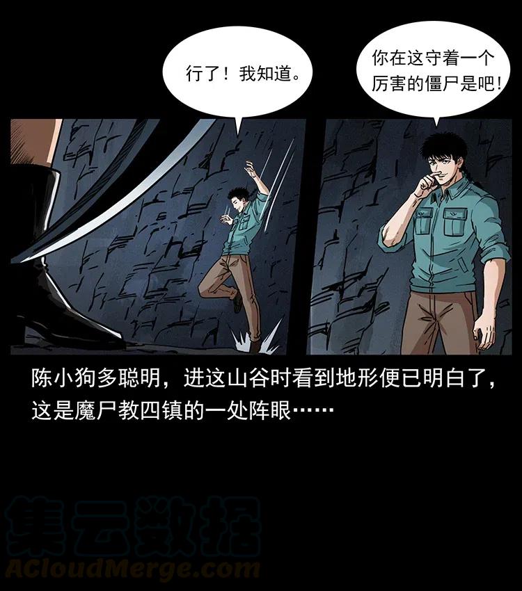 370 乌翅凤凰69