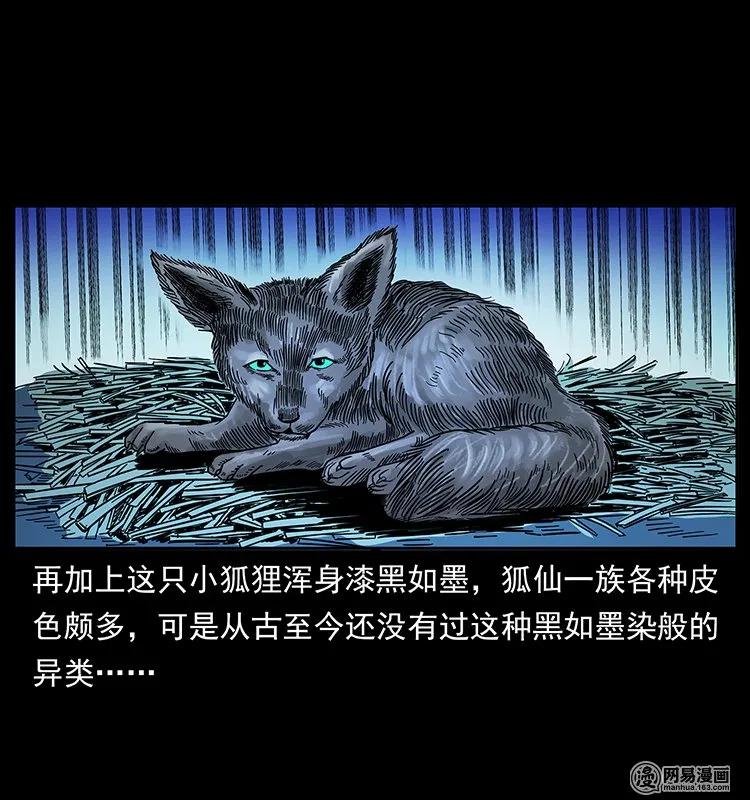 142 黑狐18