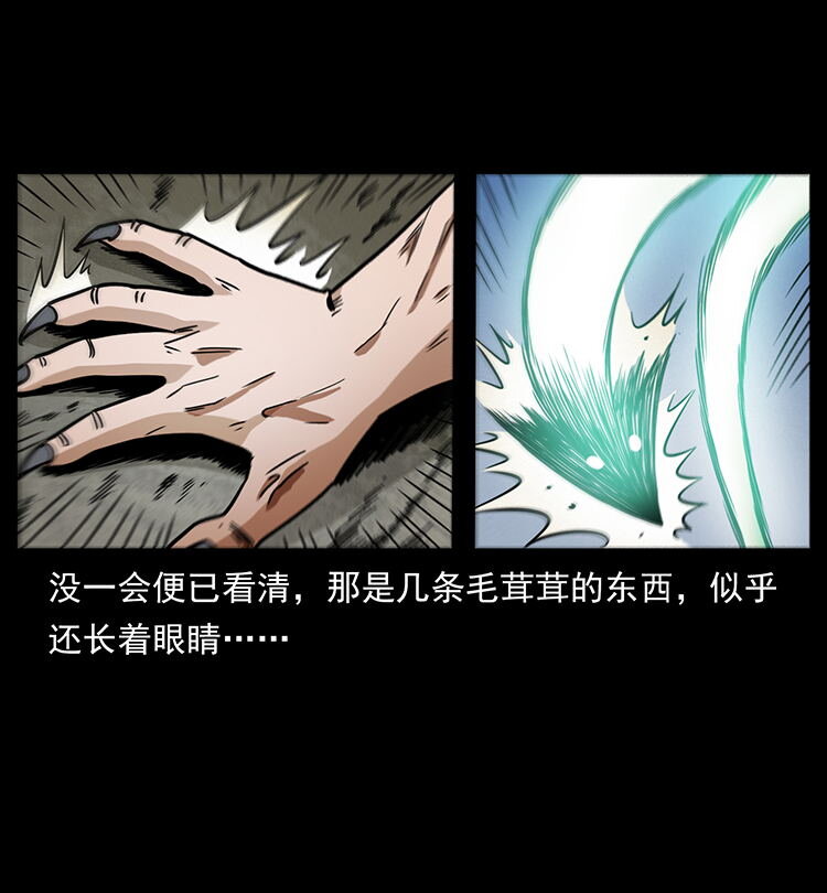 486 人与狐32