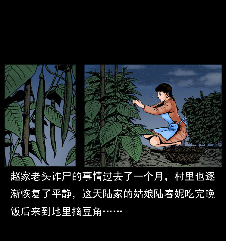 003 赵家的猫1