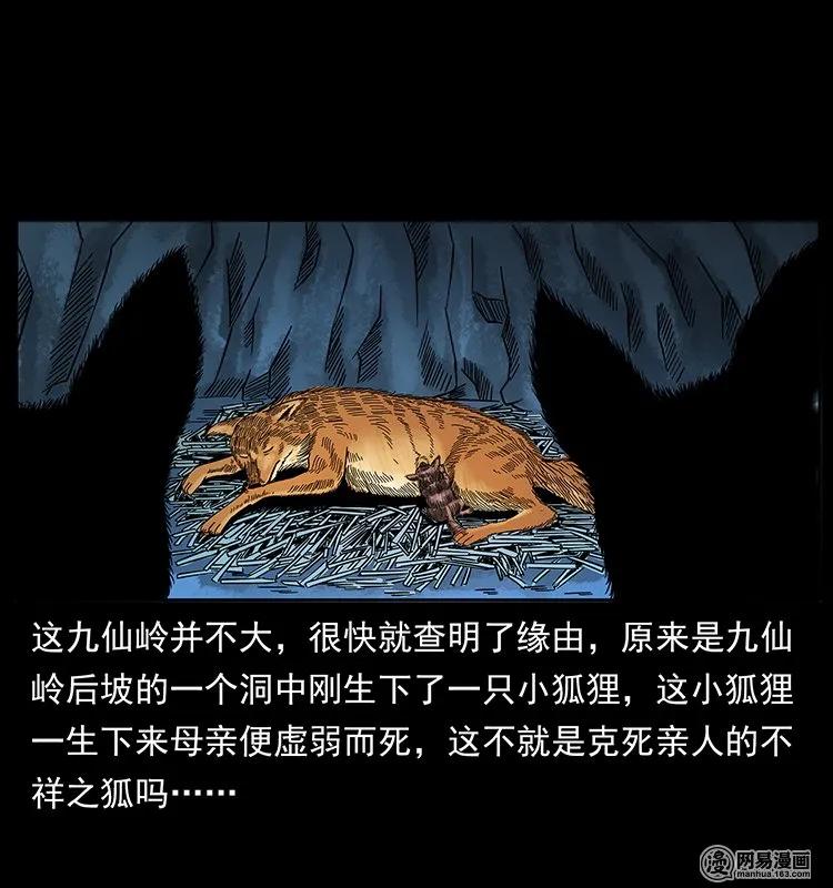 142 黑狐17