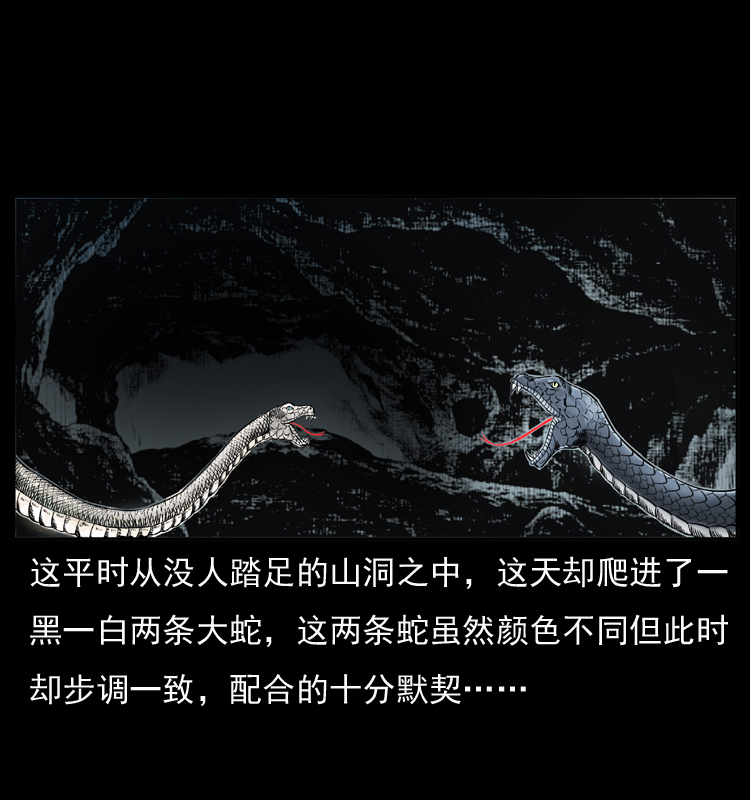 049 刨尸狗传奇22