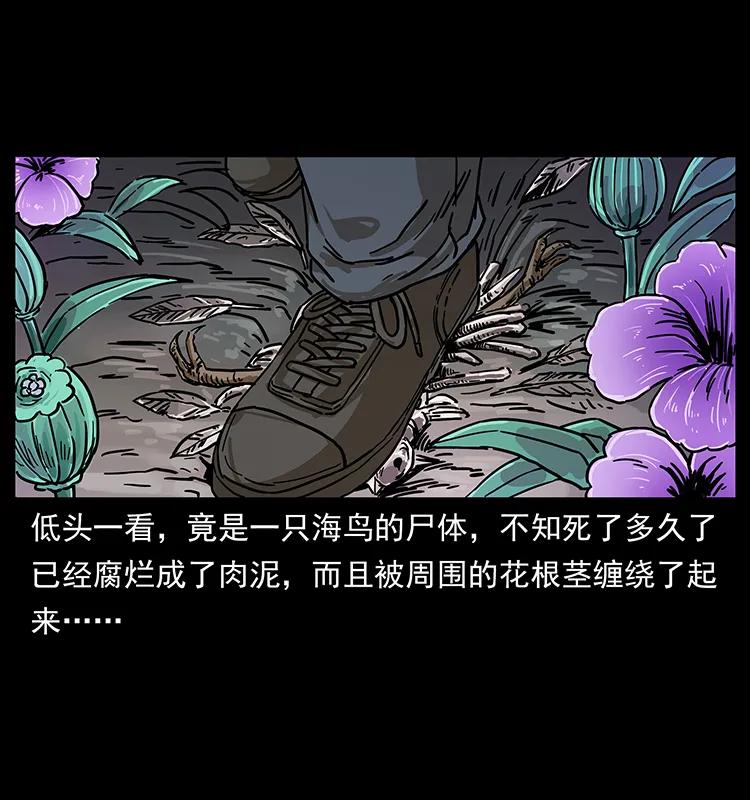 236 神秘的小岛45