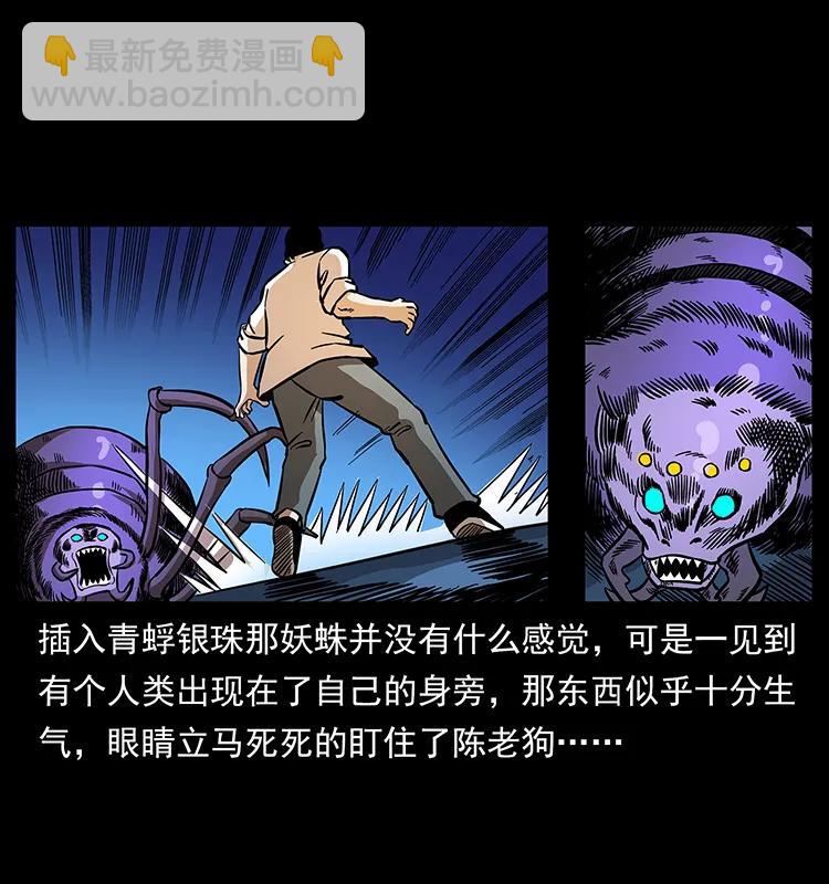 163 陈老狗下南疆17
