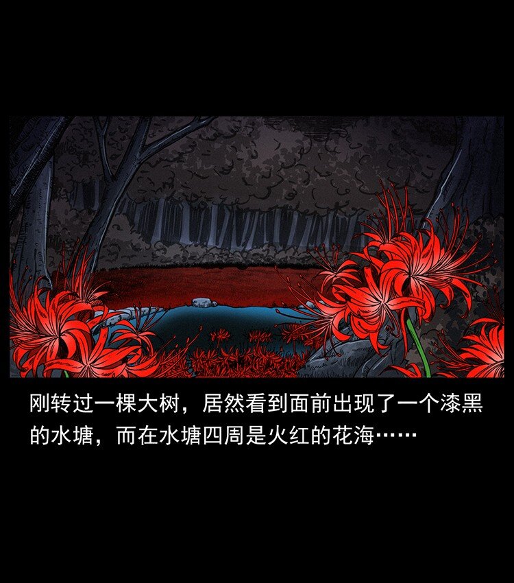 491 硬刚6