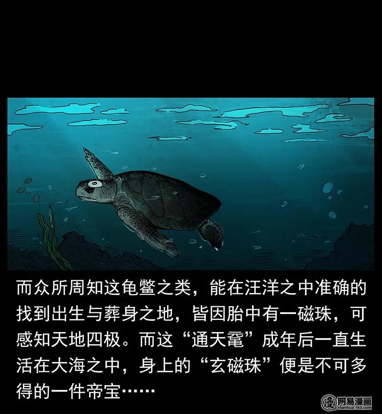 123 新龙骨82