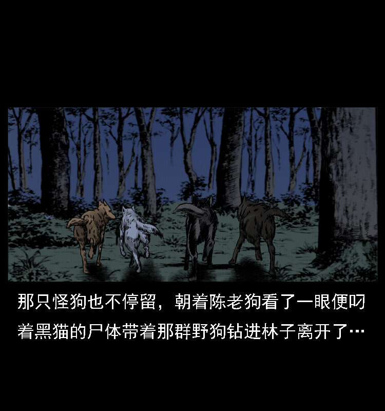 004 猫妖63