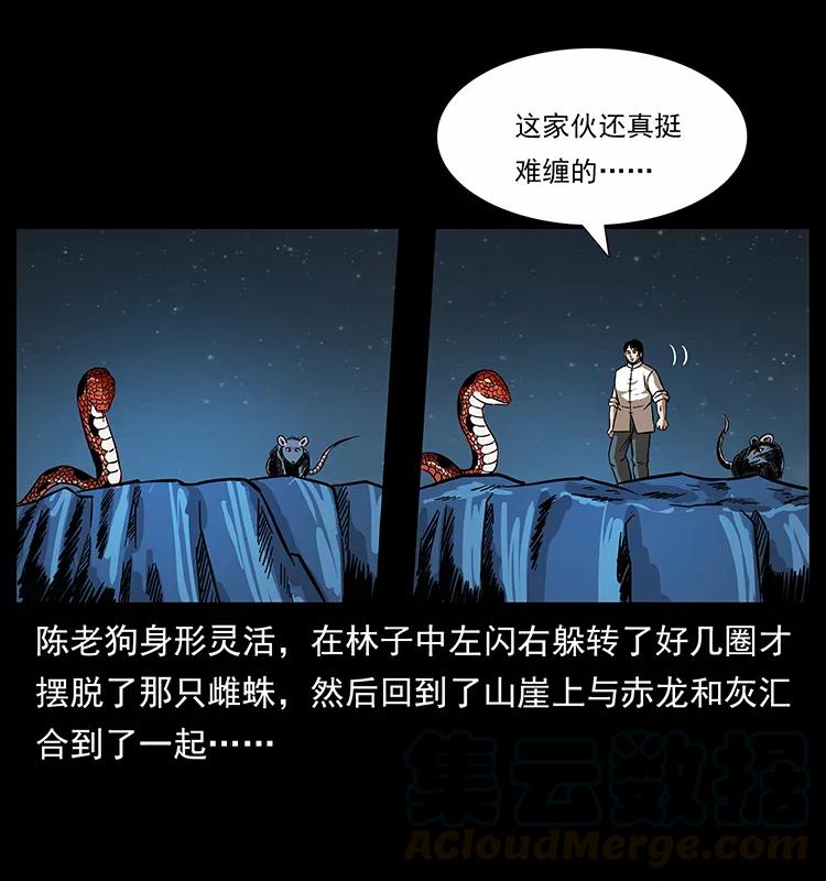 163 陈老狗下南疆20