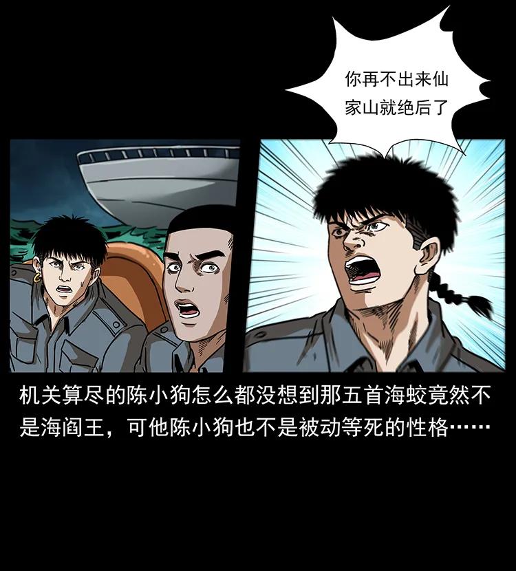 242 陈小狗失算了67
