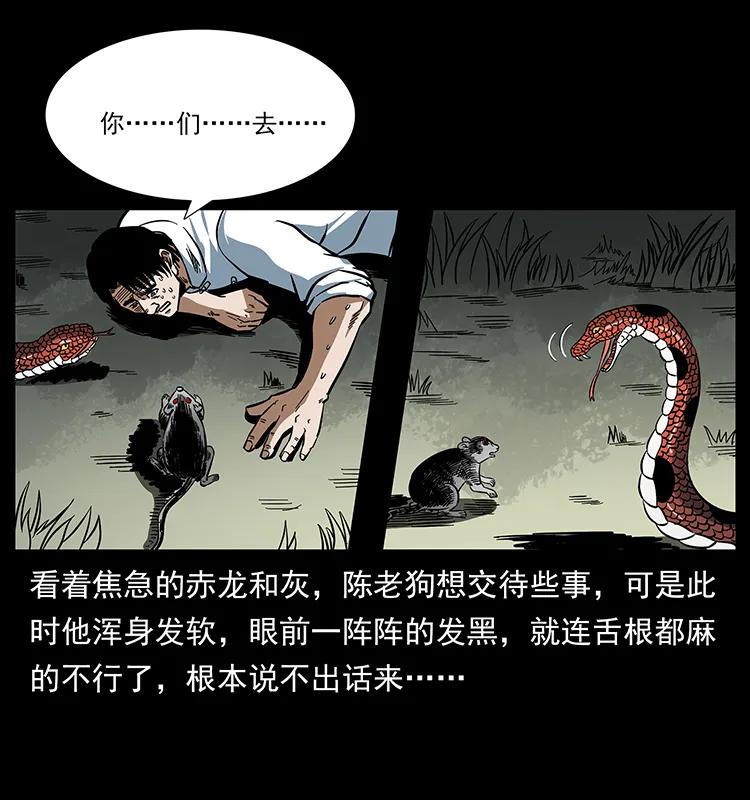167 陈老狗遇险43