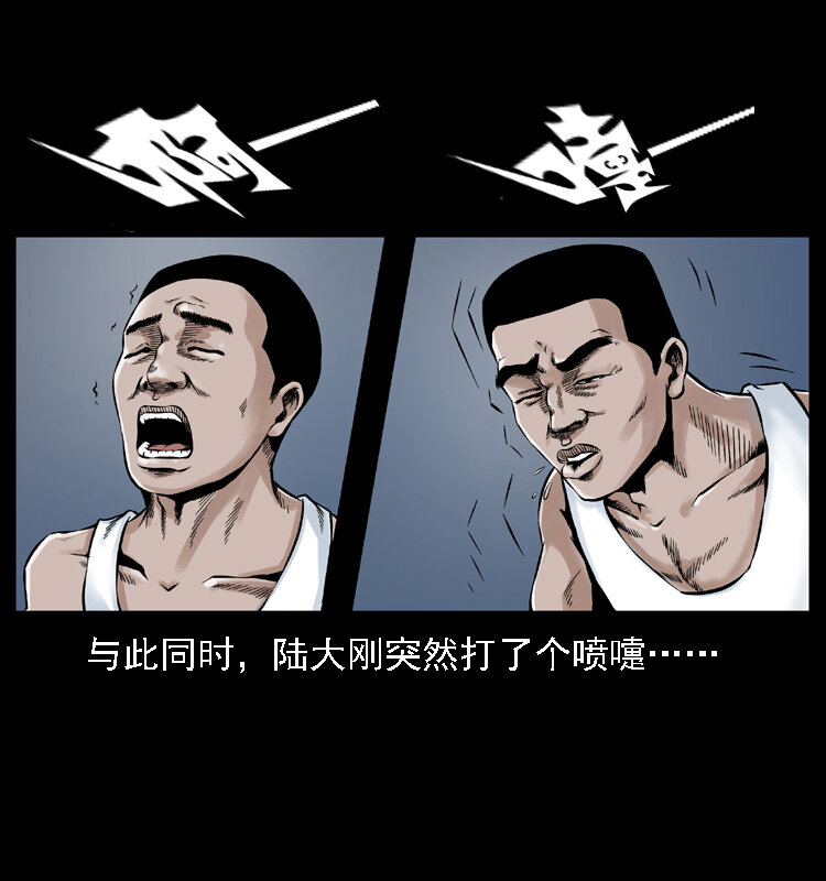 003 赵家的猫5