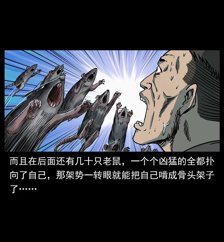 251 刨尸狗遇险21