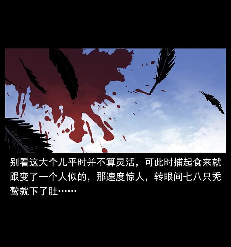 281 柱子归来！25