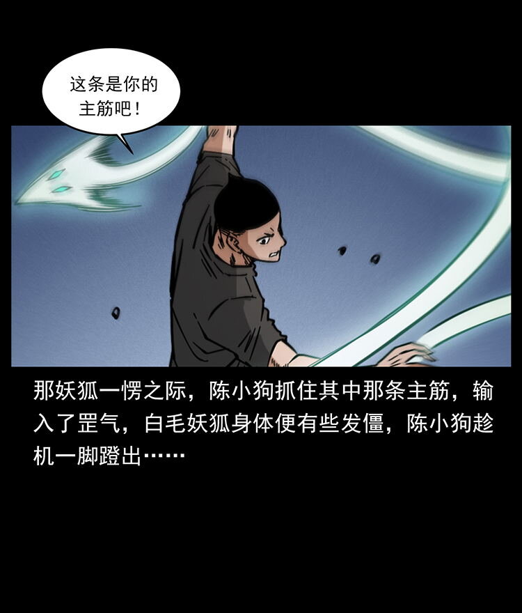 486 人与狐44